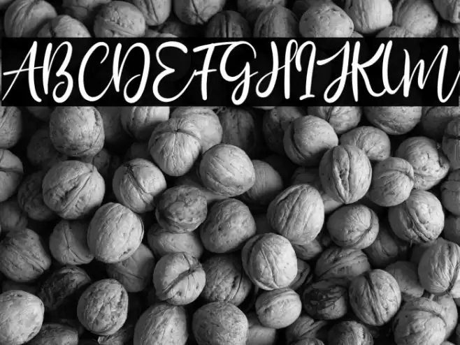 Bily Keith Font examples