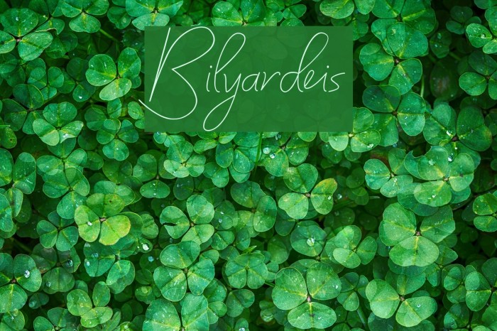 Bilyardeis Font examples