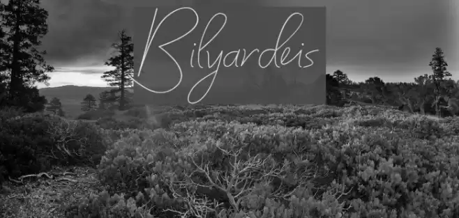 Bilyardeis Font examples