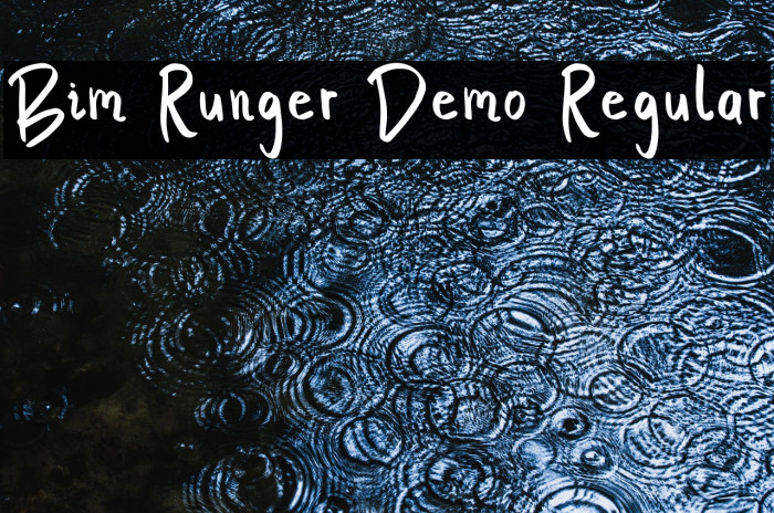 Bim Runger Demo Regular Example 2