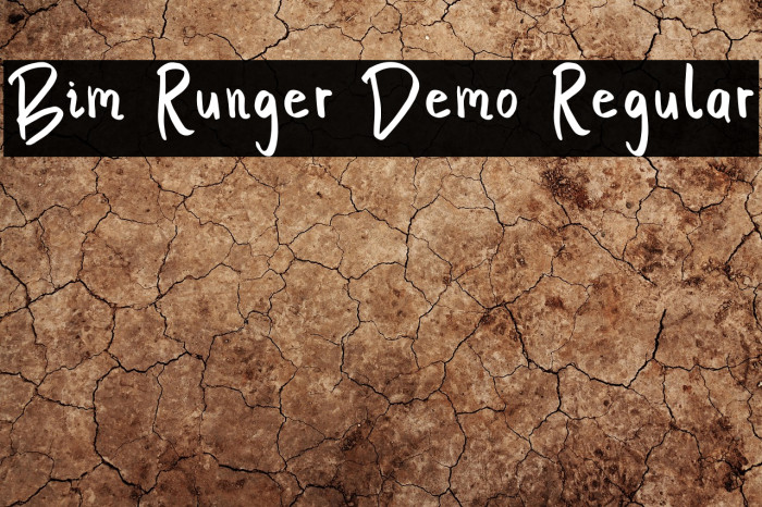 Bim Runger Demo Regular Example 3