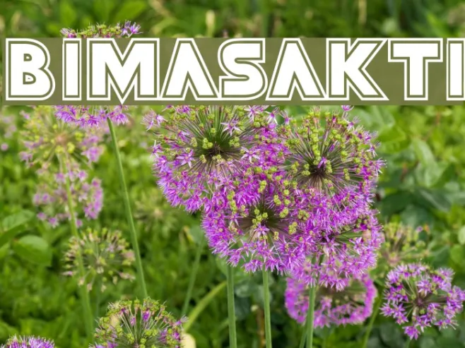 Bimasakti Example 1