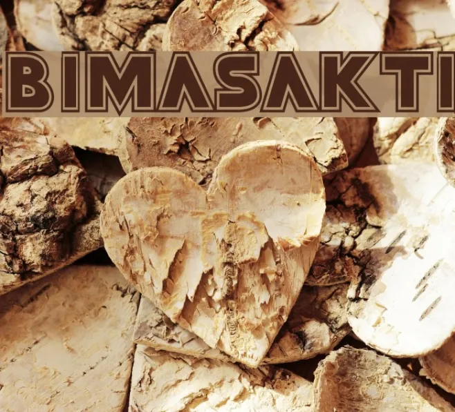 Bimasakti Example 3