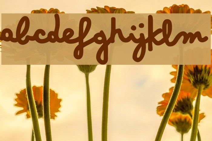 Bimbo Jumbo Example 3