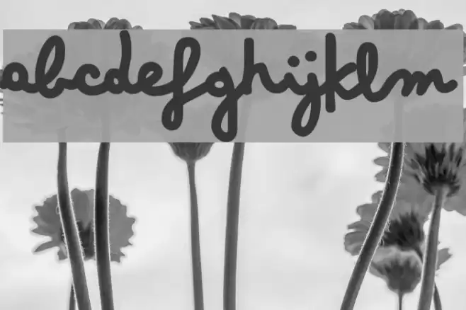 Bimbo Jumbo Font examples