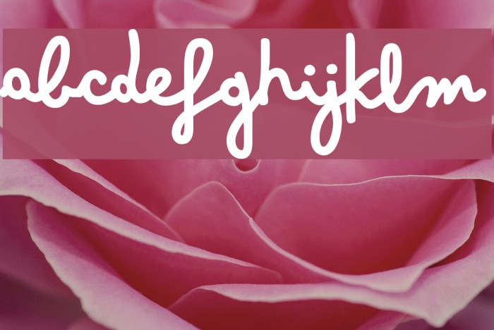 Bimbo Whiteboard Example 1