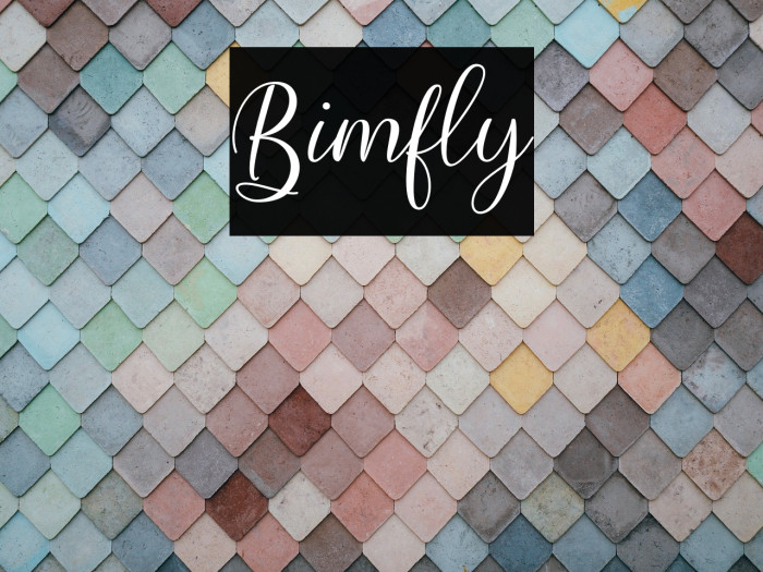 Bimfly Example 1