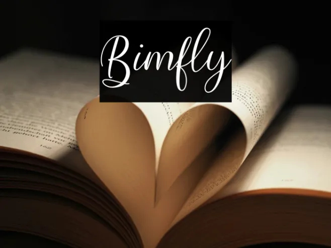 Bimfly Example 2