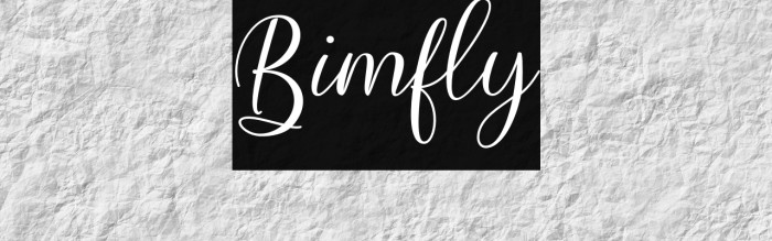 Bimfly Example 3