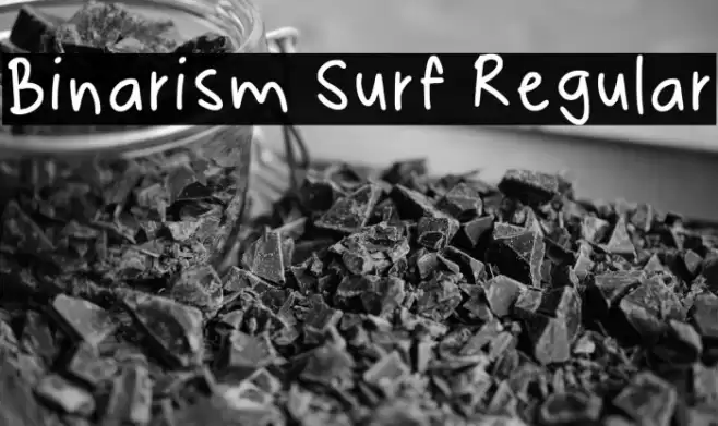 Binarism Surf Regular Font examples