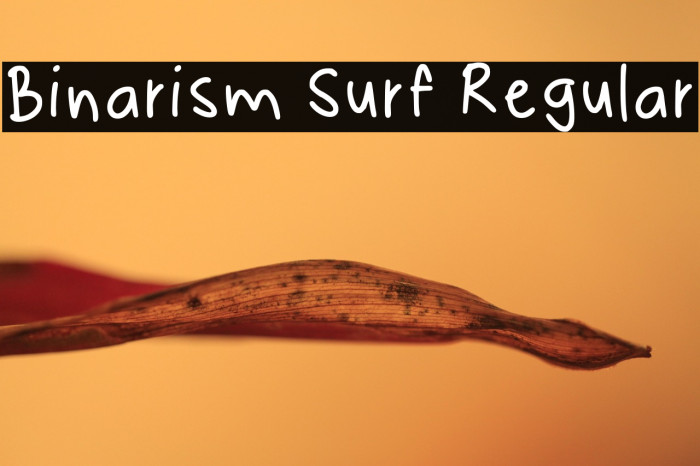 Binarism Surf Regular Example 2