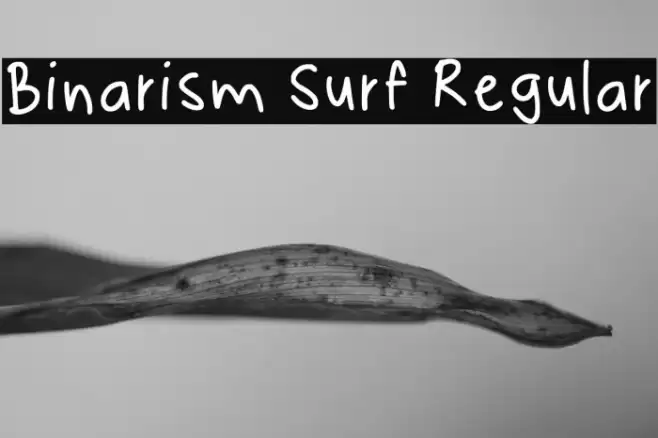 Binarism Surf Regular Font examples