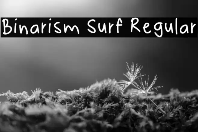 Binarism Surf Regular Font examples