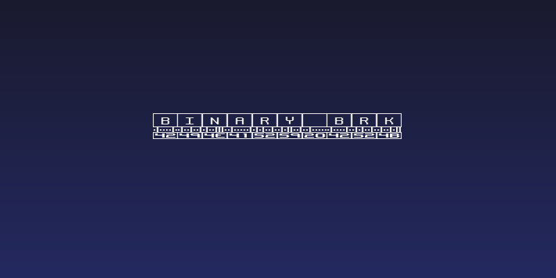 Binary BRK Social Header
