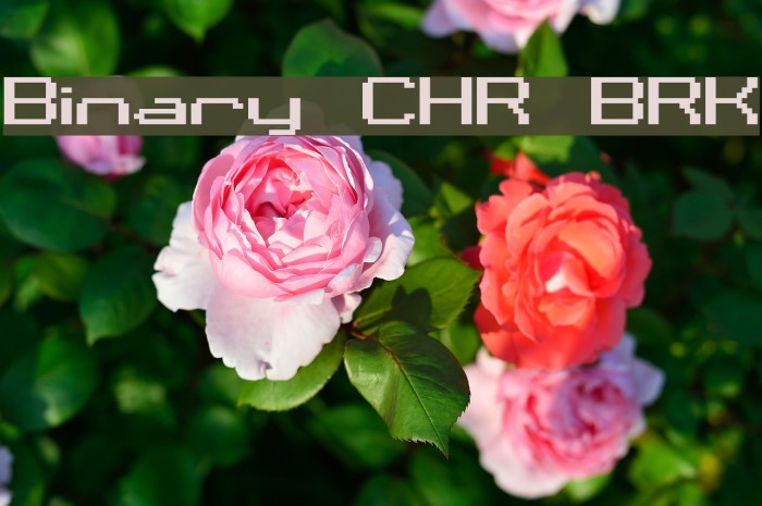 Binary CHR BRK Font examples
