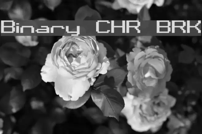 Binary CHR BRK Fonte examples