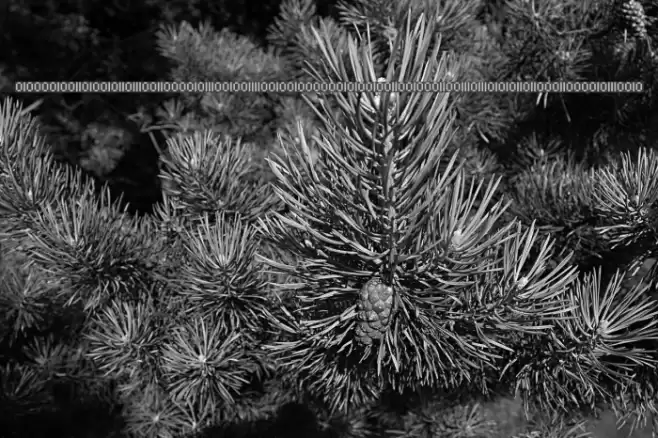 Binary Regular Font examples