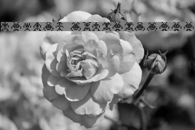 Binary SoldiersIII Font examples