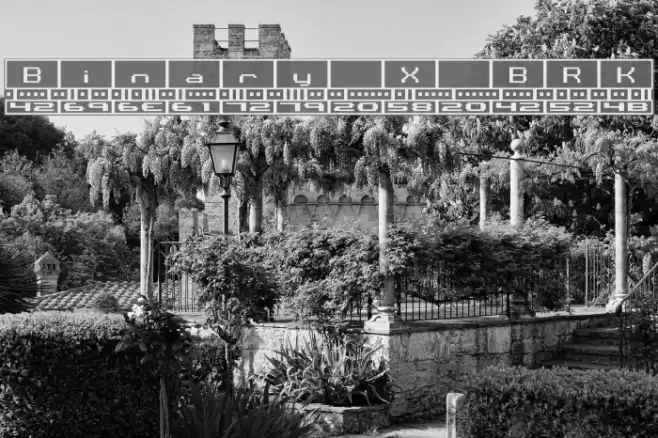 Binary X BRK Font examples