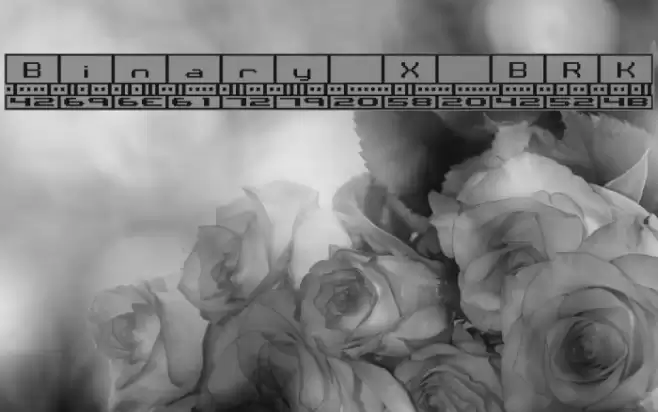 Binary X BRK Font examples