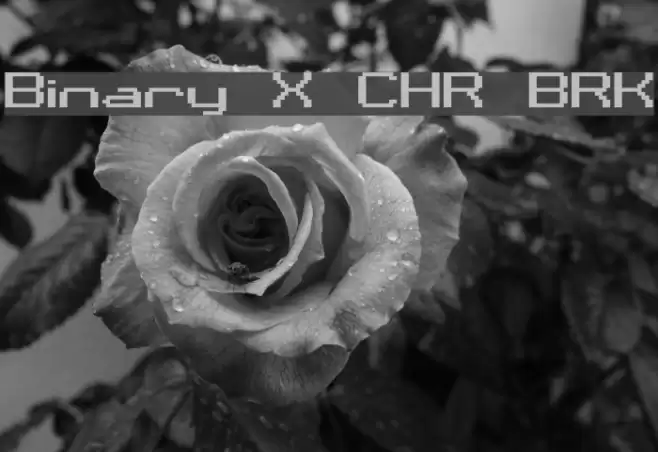 Binary X CHR BRK Schriftart examples
