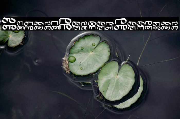 BinaryVerges-Regular Example 1