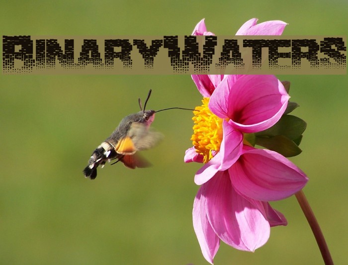 BinaryWaters フォント examples