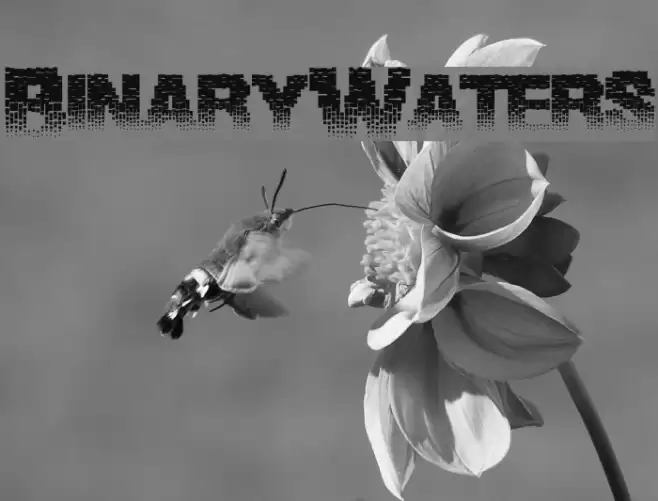 BinaryWaters Schriftart examples