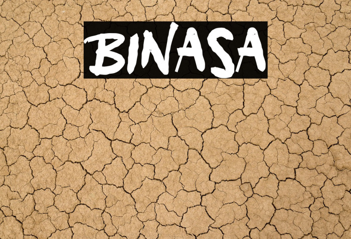 Binasa Example 1