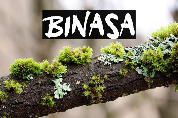 Binasa Example 3