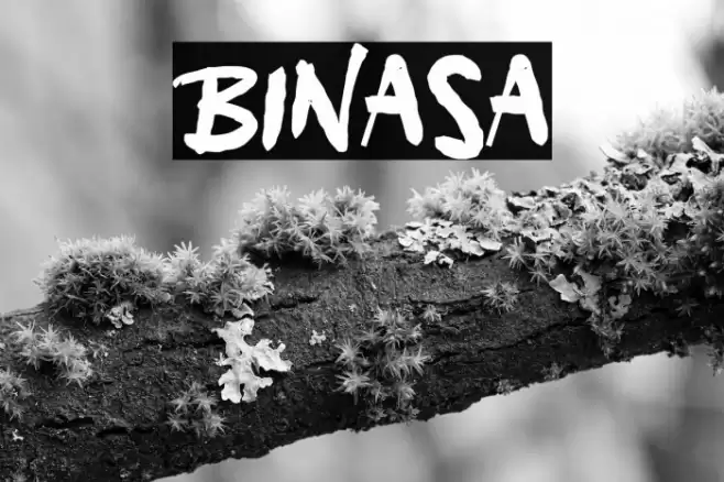 Binasa Font examples