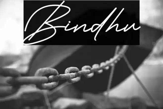 Bindhu Font examples