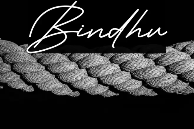 Bindhu Font examples