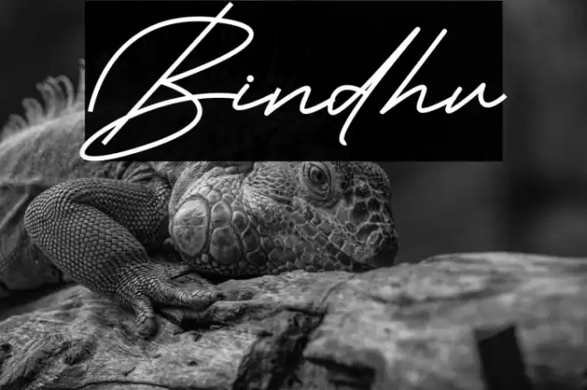 Bindhu Font examples