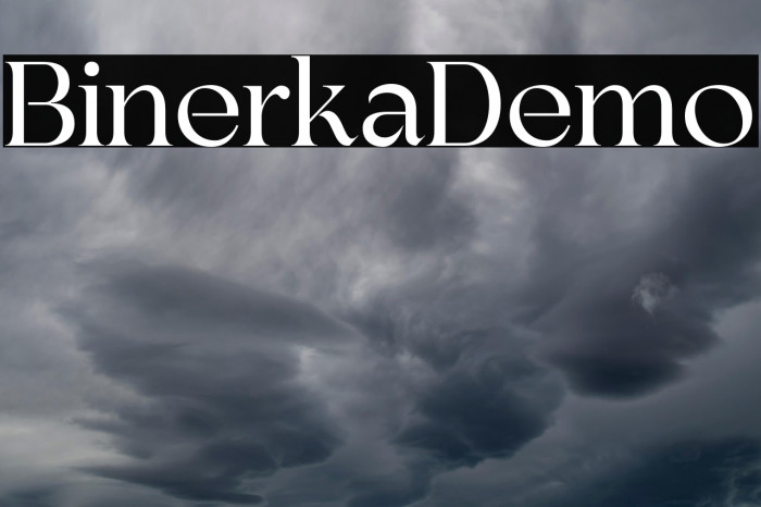 BinerkaDemo Example 1