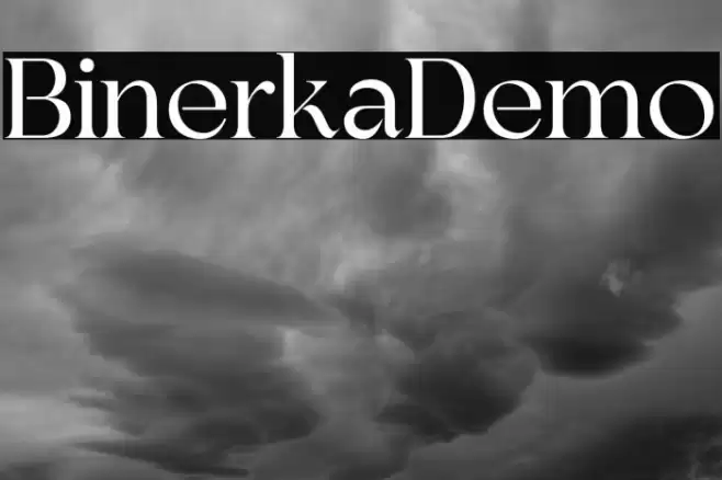 BinerkaDemo Font examples