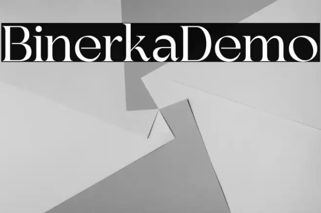 BinerkaDemo Font examples