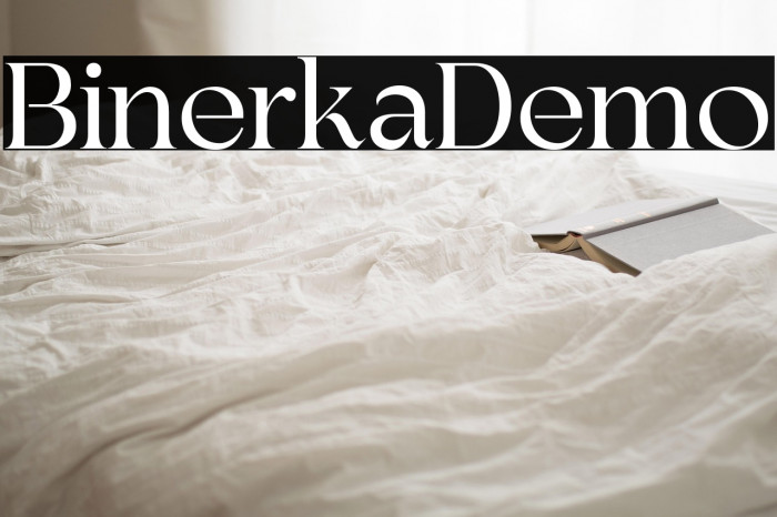 BinerkaDemo Example 3