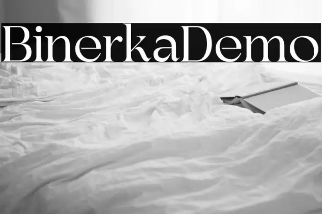 BinerkaDemo Font examples