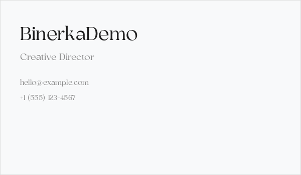 BinerkaDemo Business Card