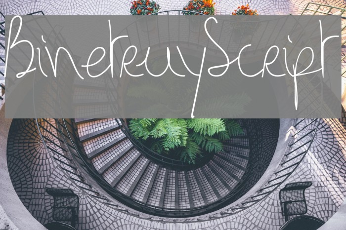 BinetruyScript Font examples