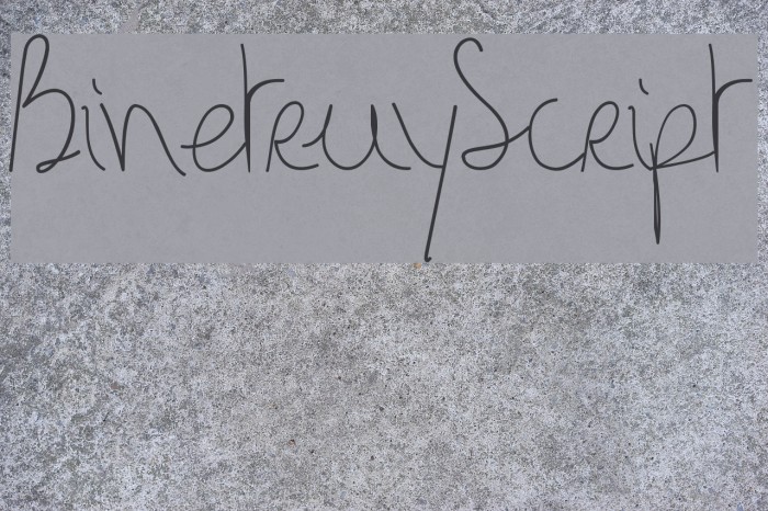BinetruyScript Font examples