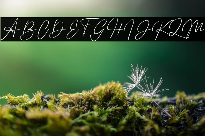 Binetta Signature Example 1