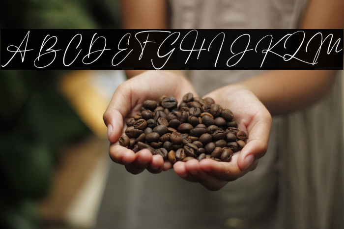 Binetta Signature Example 2