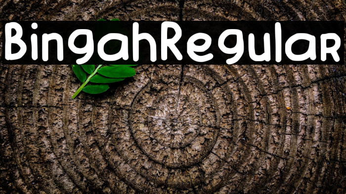 Bingah-Regular Example 2