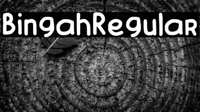 Bingah-Regular फ़ॉन्ट examples
