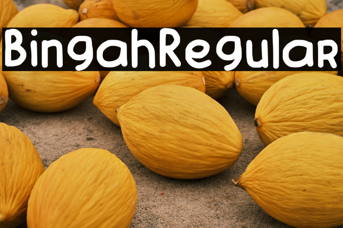 Bingah-Regular Example 3