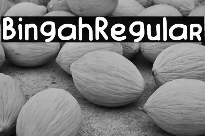 Bingah-Regular फ़ॉन्ट examples