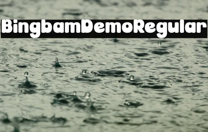 Bingbam Demo Regular Example 1