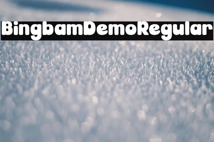 Bingbam Demo Regular Example 3